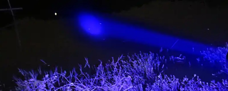 夜钓灯蓝光能不能照蝎子，紫外线灯才会让蝎子发光