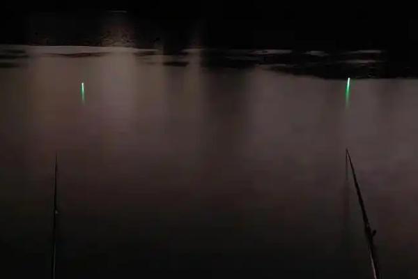 夜钓灯蓝光能不能照蝎子，紫外线灯才会让蝎子发光