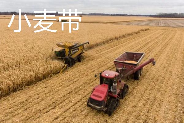 美国农业是如何分布的，小麦带主要分布在中央大平原的中部和北部