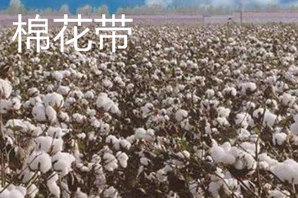 美国农业是如何分布的，小麦带主要分布在中央大平原的中部和北部