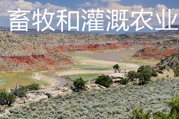 美国农业是如何分布的，小麦带主要分布在中央大平原的中部和北部
