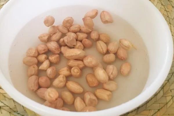 花生芽怎么种植，播种前用清水浸泡12-24小时