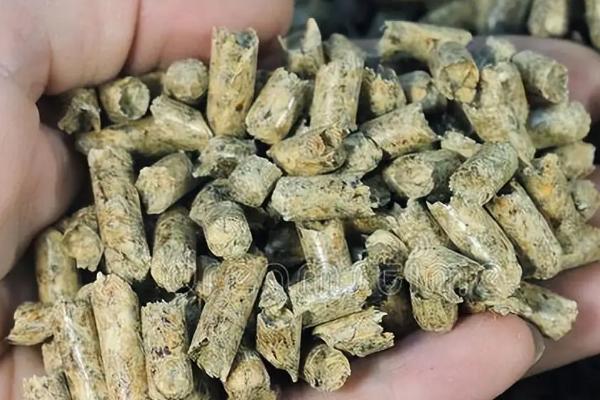 饲料添加剂常见的种类，包括以下6种