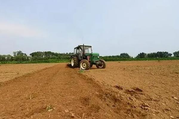 种花生一窝用几颗种子，每窝可播种2-3粒