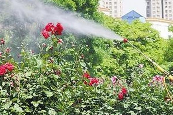 外面打完药过多长时间才能开窗，使用普通杀虫剂只需闭窗数分钟