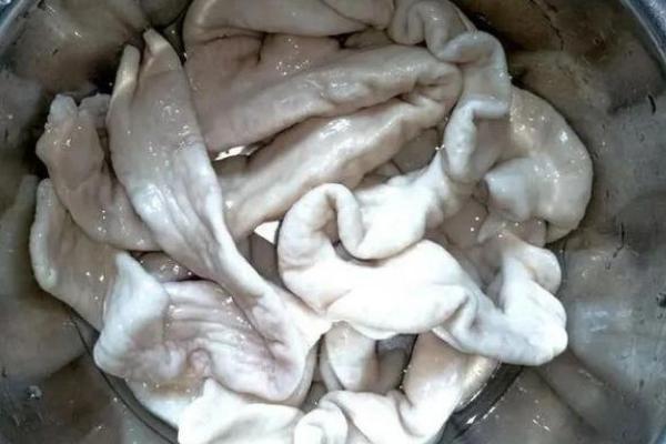 猪有什么内脏，存在猪心、猪肝、猪腰等器官