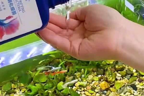 培养硝化细菌的方法，在水中添加氨氮可刺激它们大量繁殖