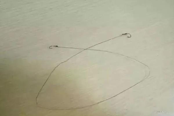 0.1号子线可以钓多重的鱼，能钓获体重在3两以内的鱼类