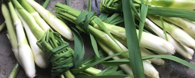 茭白怎么储藏，常用以下6种方式