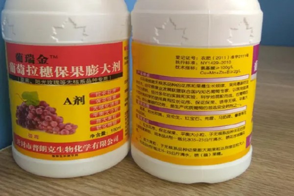 打膨大剂樱桃的特点，其个头通常较大