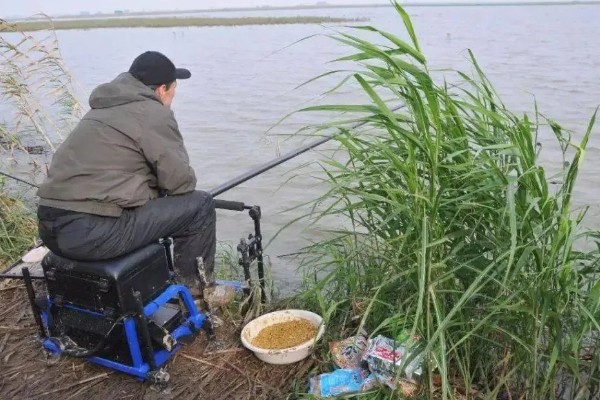 冬季怎么钓鱼，使用荤饵效果更佳