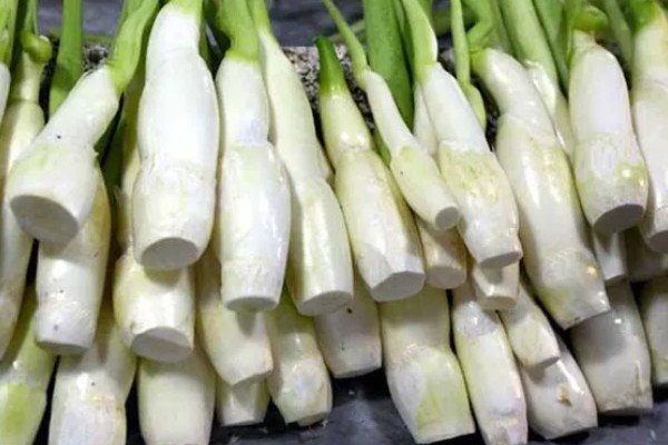 茭白怎么储藏，常用以下6种方式