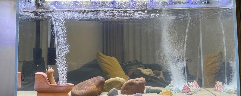 养鱼打氧机要一直开吗，不用一直开