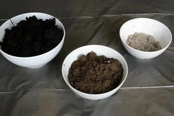 茉莉花的养殖方法，4-5月份进行栽植为佳