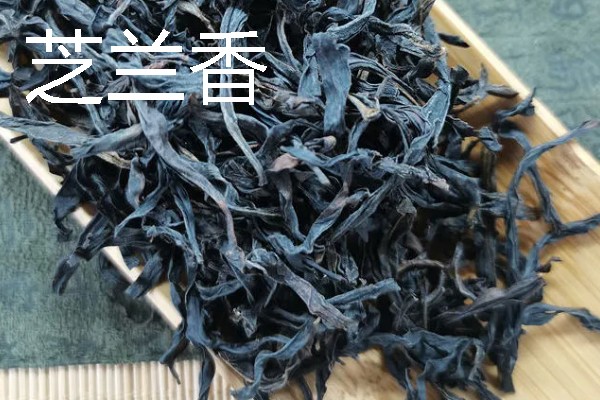 凤凰茶的品种，常见的有黄栀香、芝兰香等