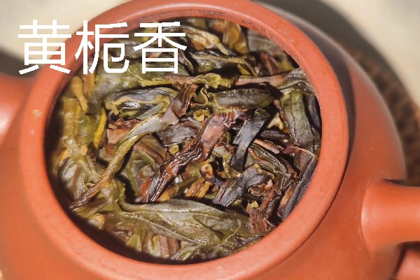 凤凰茶的品种，常见的有黄栀香、芝兰香等