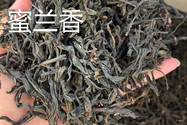 凤凰茶的品种，常见的有黄栀香、芝兰香等