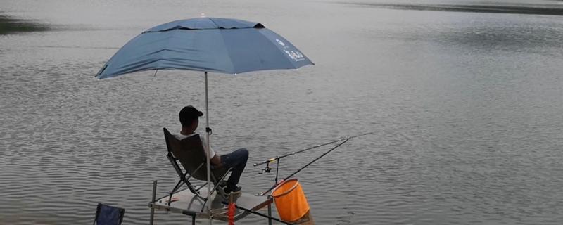 水库钓鲤鱼是不是钓近，钓点一般要离岸5-6米以上