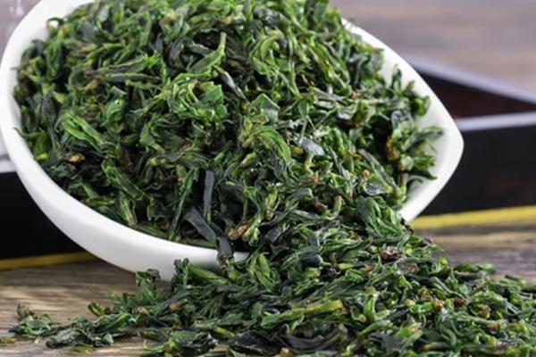 苦丁茶是什么茶，属于黑茶