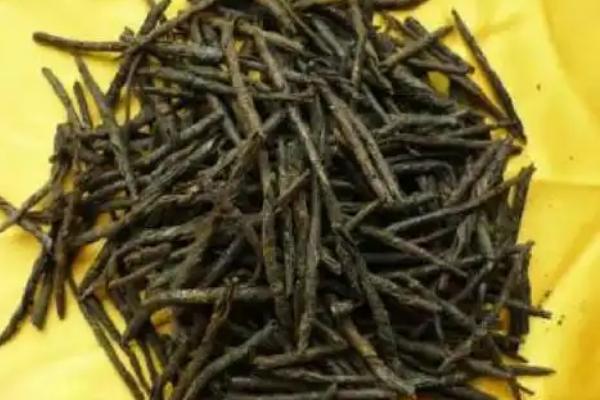 苦丁茶是什么茶，属于黑茶