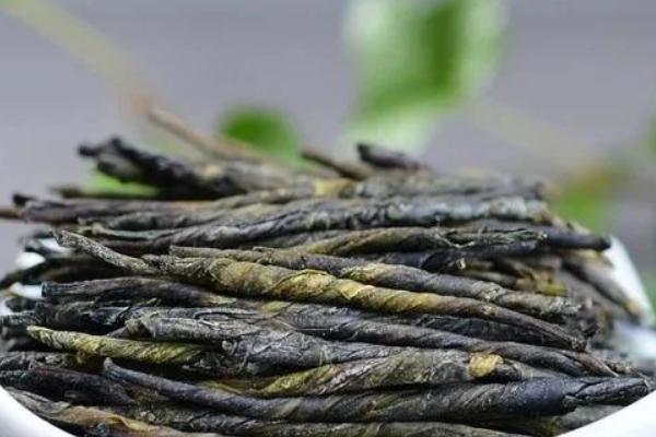 苦丁茶是什么茶，属于黑茶