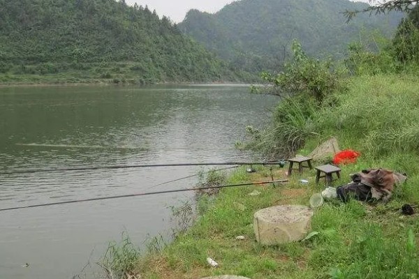 水库钓鲤鱼是不是钓近，钓点一般要离岸5-6米以上