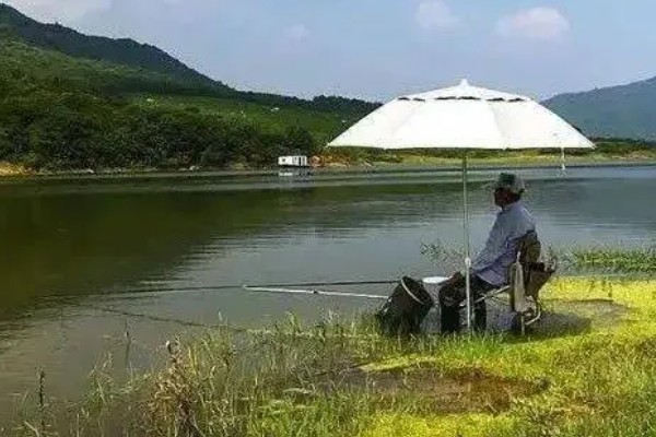 水库钓鲤鱼是不是钓近，钓点一般要离岸5-6米以上