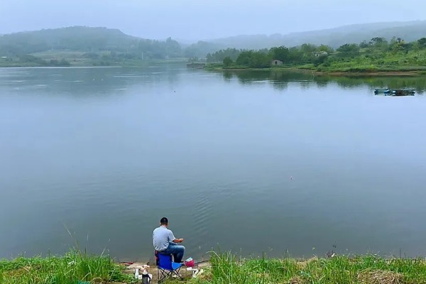 水库钓鲤鱼是不是钓近，钓点一般要离岸5-6米以上