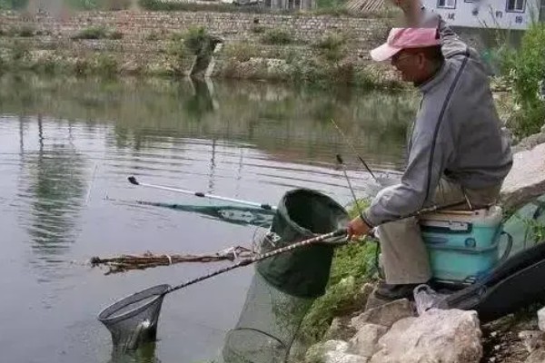 水库钓鲤鱼是不是钓近，钓点一般要离岸5-6米以上