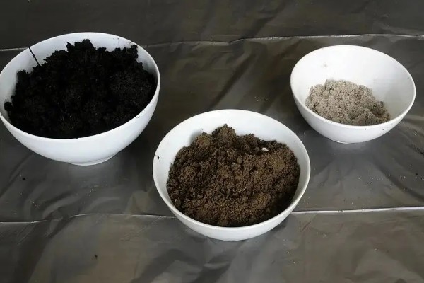 种草莓用普通的土还是营养土，不建议全用营养土
