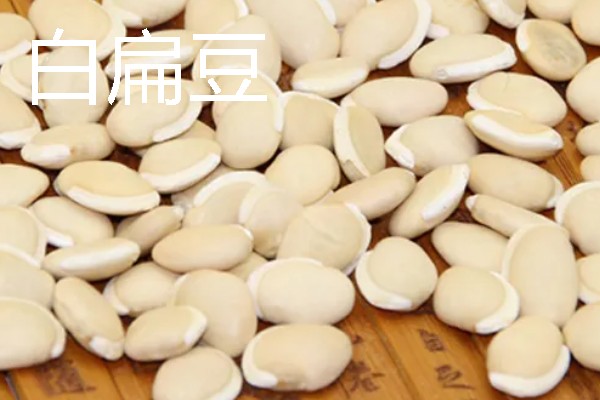 扁豆有什么种类，常见绿扁豆、白扁豆、紫扁豆等品种