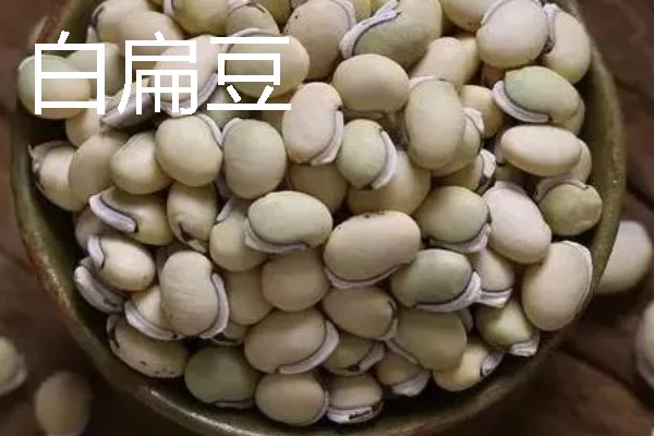 扁豆有什么种类，常见绿扁豆、白扁豆、紫扁豆等品种