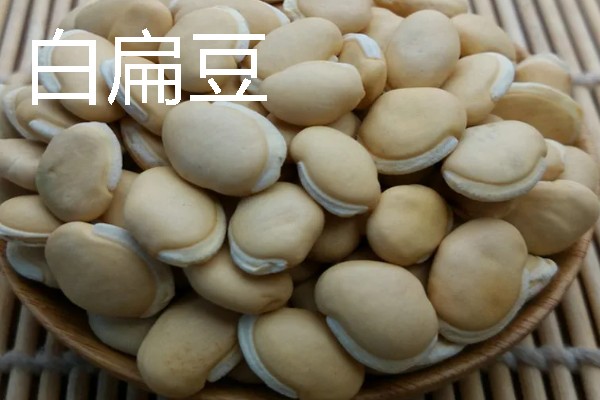 扁豆有什么种类，常见绿扁豆、白扁豆、紫扁豆等品种