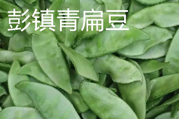 扁豆有什么种类，常见绿扁豆、白扁豆、紫扁豆等品种