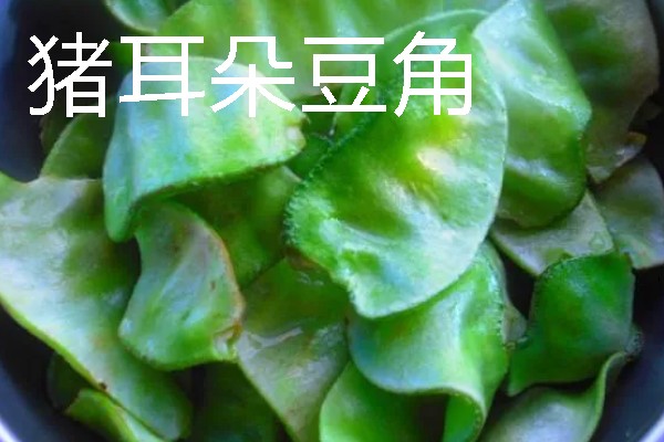 扁豆有什么种类，常见绿扁豆、白扁豆、紫扁豆等品种