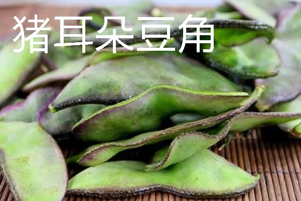 扁豆有什么种类，常见绿扁豆、白扁豆、紫扁豆等品种