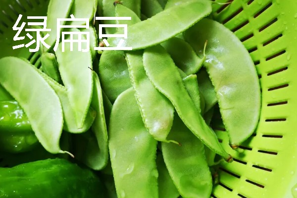 扁豆有什么种类，常见绿扁豆、白扁豆、紫扁豆等品种
