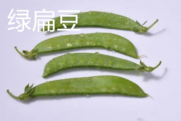 扁豆有什么种类，常见绿扁豆、白扁豆、紫扁豆等品种