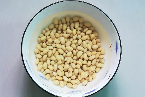种黄豆的方法，播种前需浸种