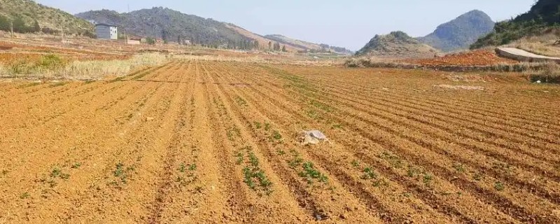 一亩地的面积，大概是667平方米