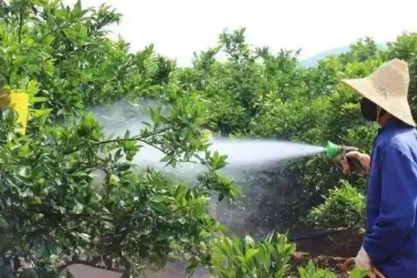 果树秋季开花的原因，高温干旱和湿热多雨交替时容易开出花朵