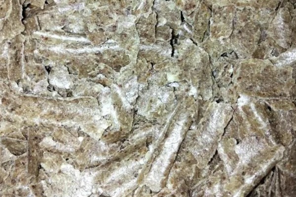 花生麸是什么肥料，是优质的有机肥料