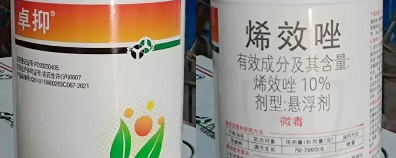 烯效唑有何作用，能起到控制营养生长、矮化植株等效果