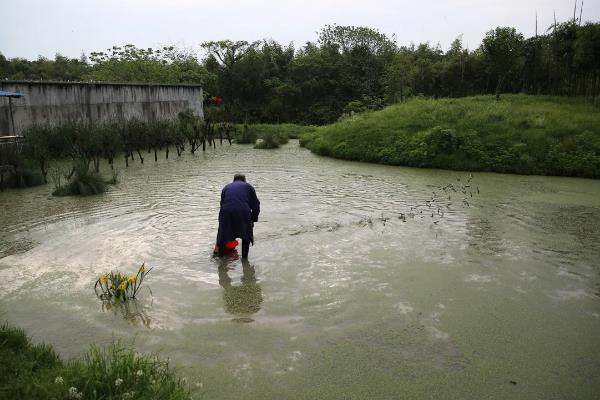 河蟹如何越冬，条件允许的情况下应该要注水2-3次