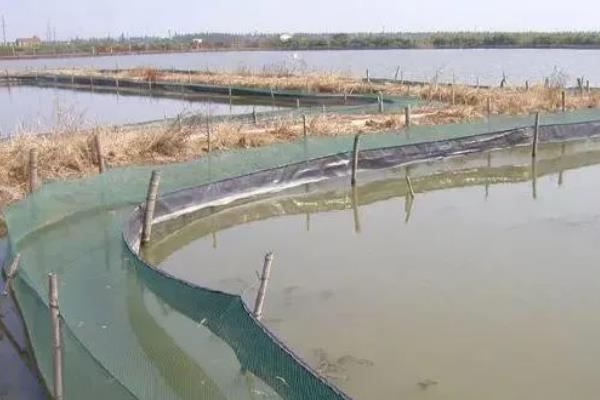 河蟹如何越冬，条件允许的情况下应该要注水2-3次