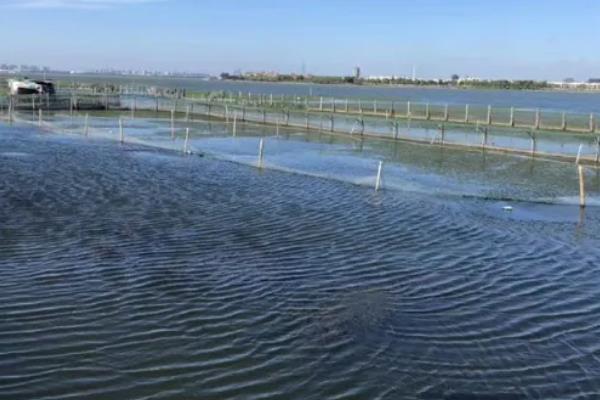 河蟹如何越冬，条件允许的情况下应该要注水2-3次