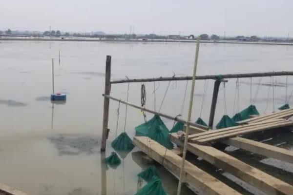 河蟹如何越冬，条件允许的情况下应该要注水2-3次