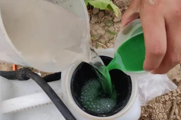 农作物防治病害有什么建议，根据使用说明配制农药浓度