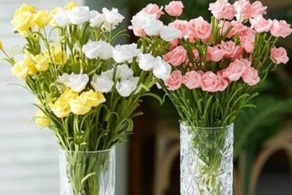 鲜花的养殖方法，每周添加3-5滴营养液