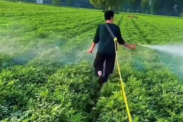 豌豆的生长习性，pH值为6.0-7.2为宜